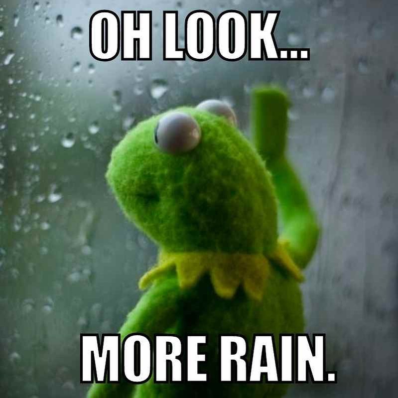 It is June… right? 

.

.

.

.#rainraingoaway #rainy #summer #oakbay #oakbaylocal #yyjdentist #victoriadentist